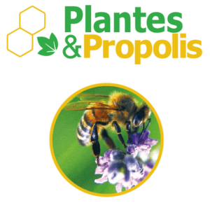 Propolis bio